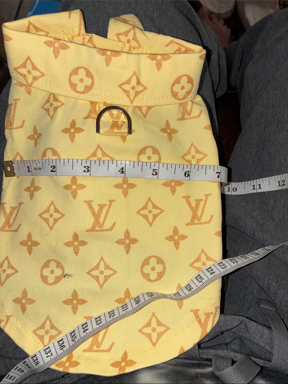 Louis Vuitton Yellow Monogram pet clothes - Picture 5 of 6